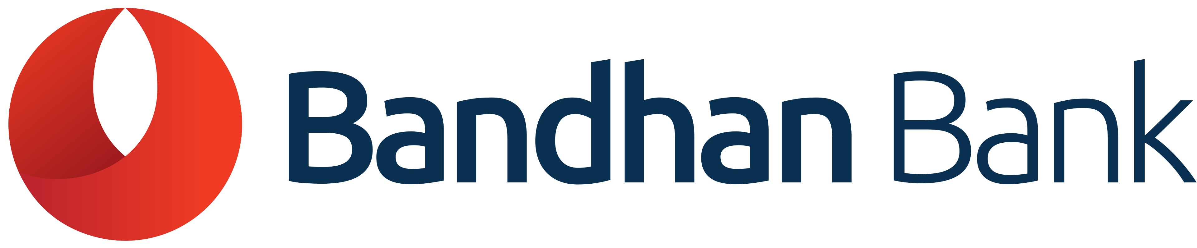 Bandhan Bank