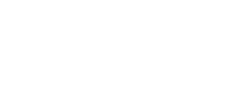 Bharat Fintech Summit 2025 Logo